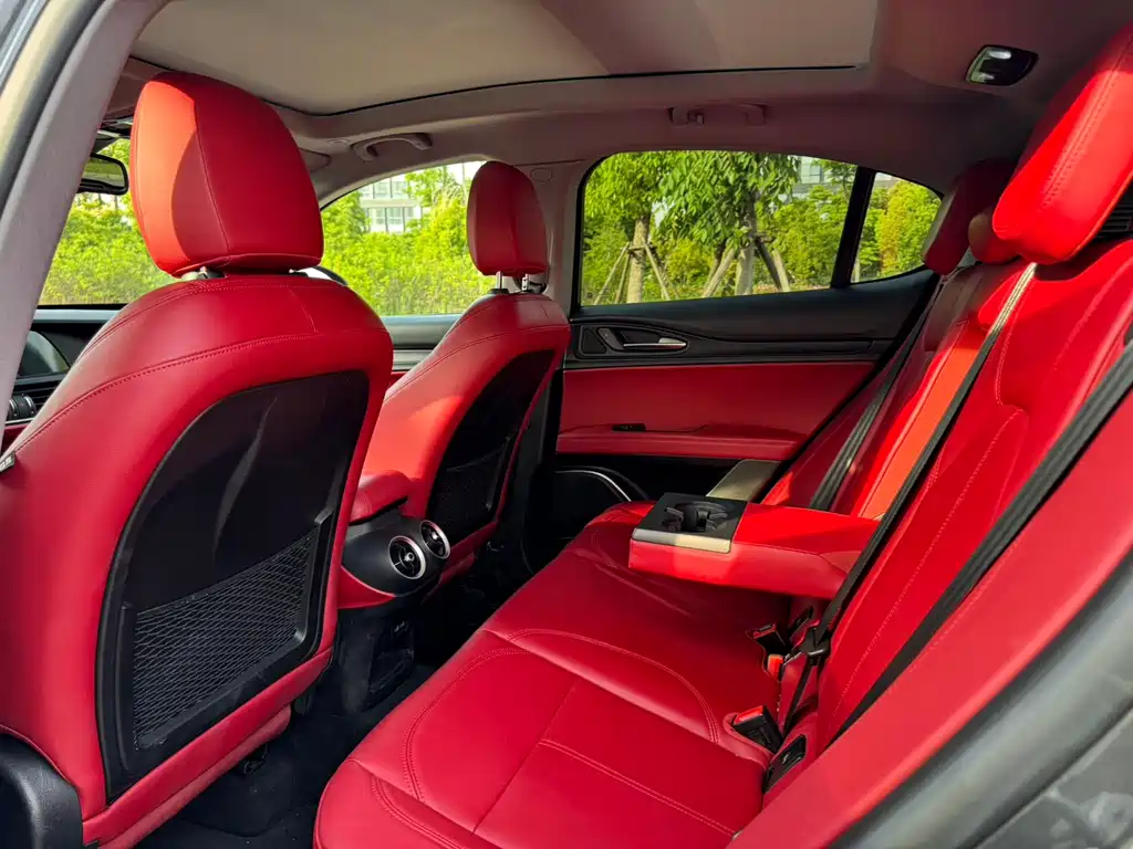 Alfa Romeo Stelvio 2.0T 200HP Luxury Edition, фото 14