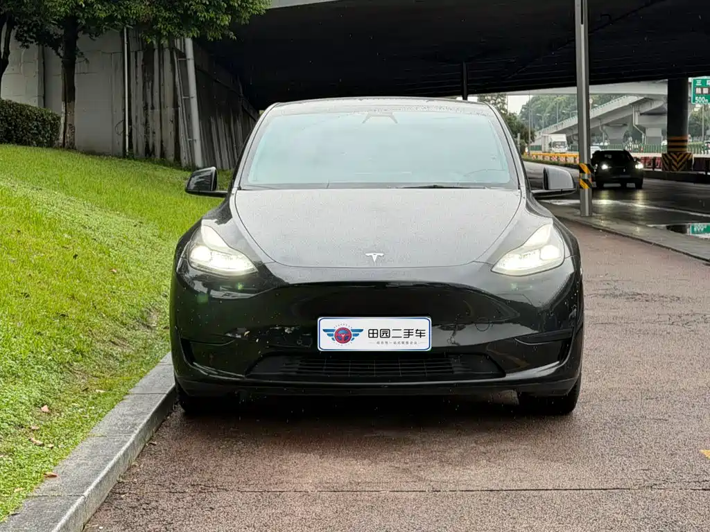 Tesla Model Y — миниатюра 2