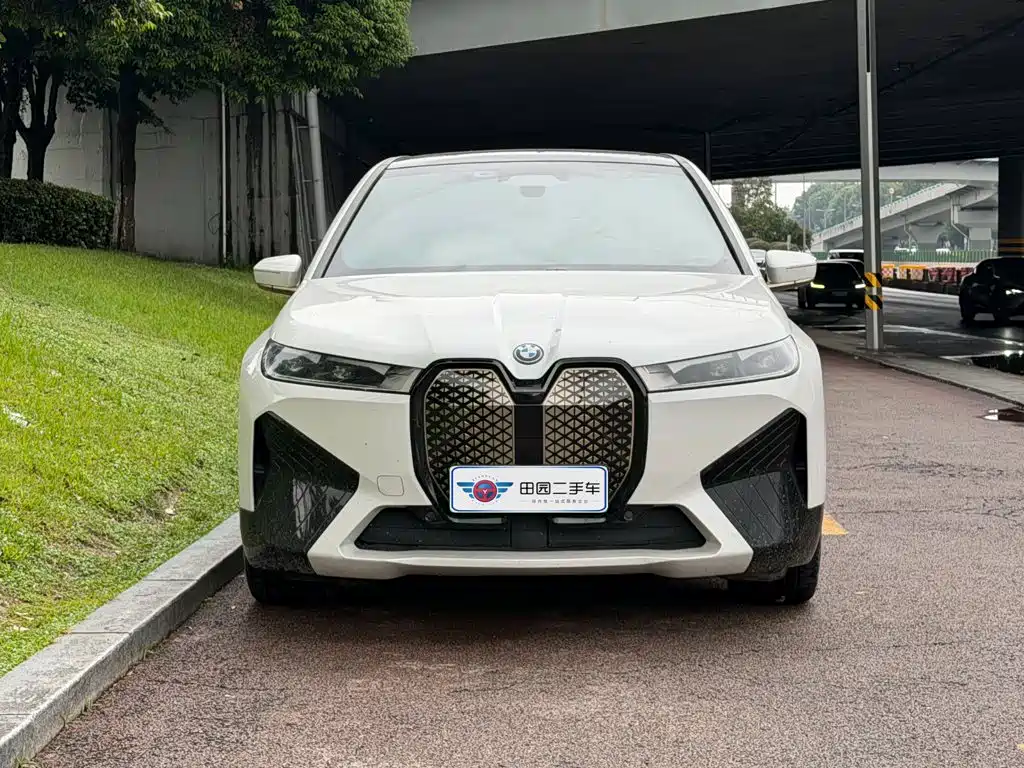BMW iX — миниатюра 2