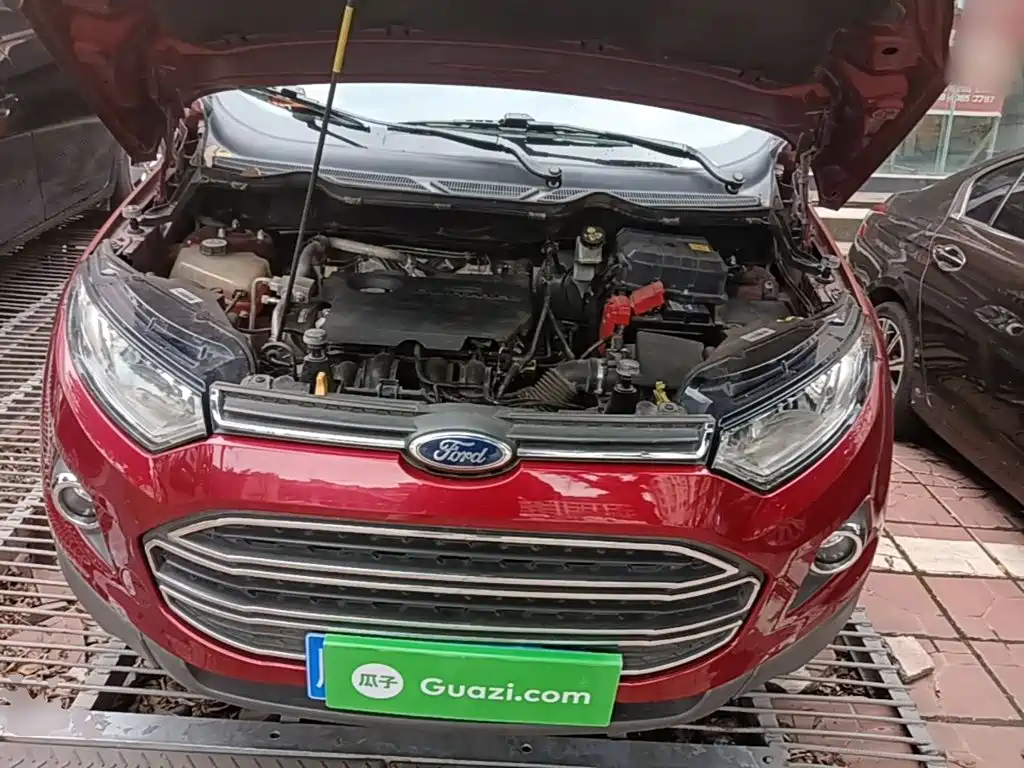 Ford Ecosport — миниатюра 20