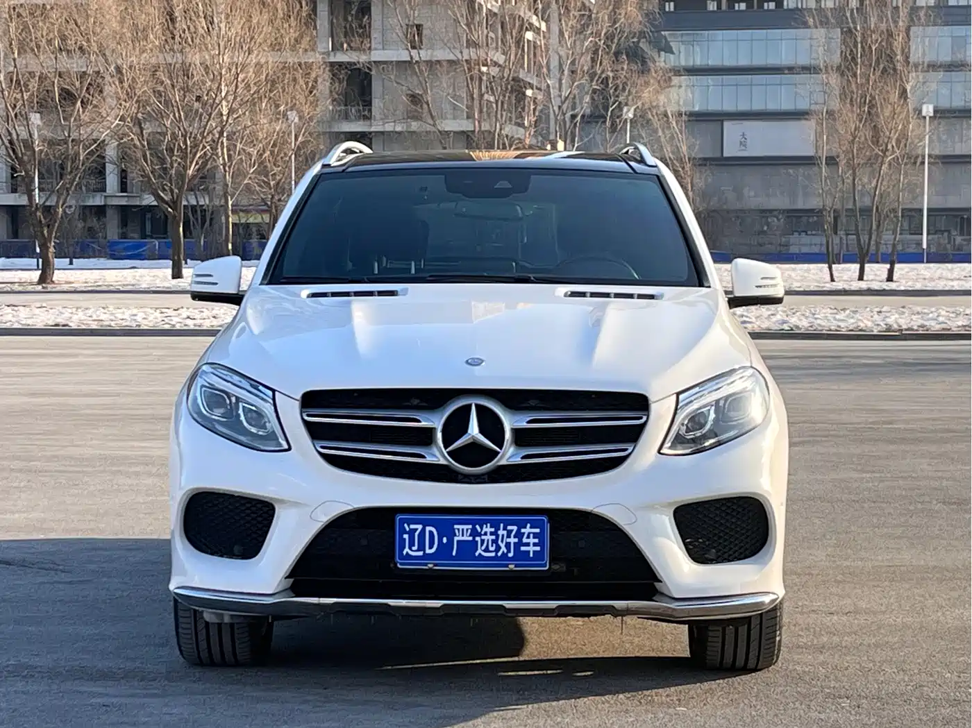 Mercedes-Benz GLE Import