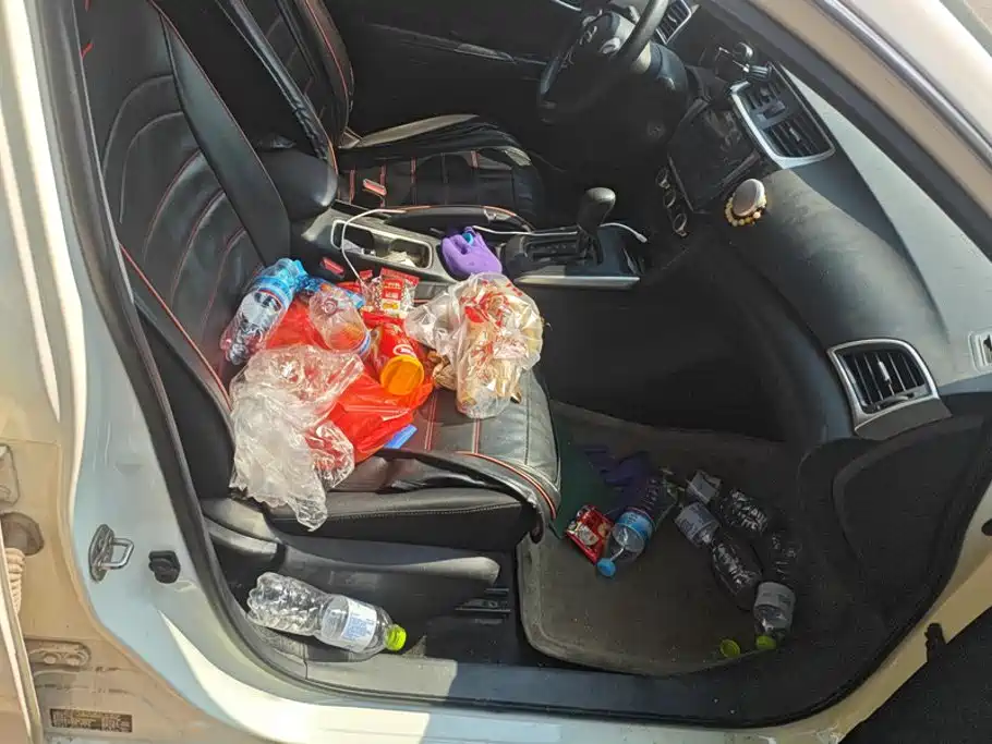 Nissan Sylphy — миниатюра 8