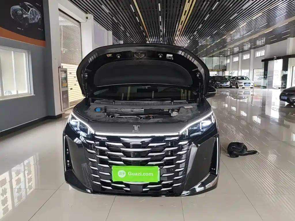 BYD Xia — миниатюра 20