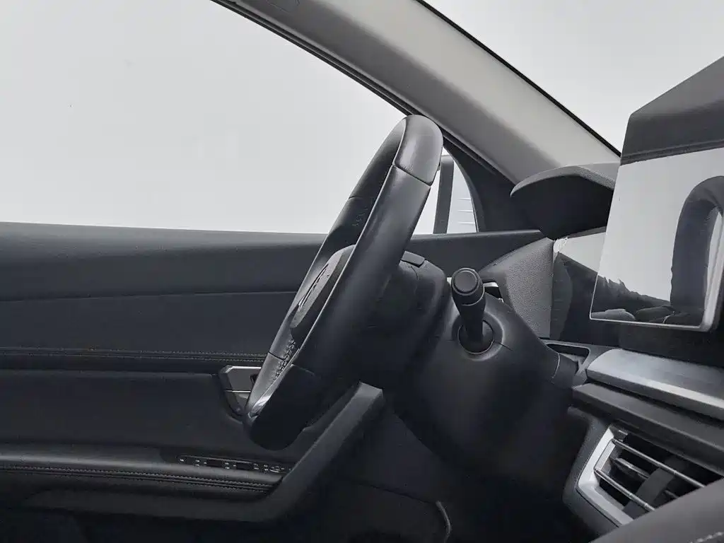 BYD Pro — миниатюра 22