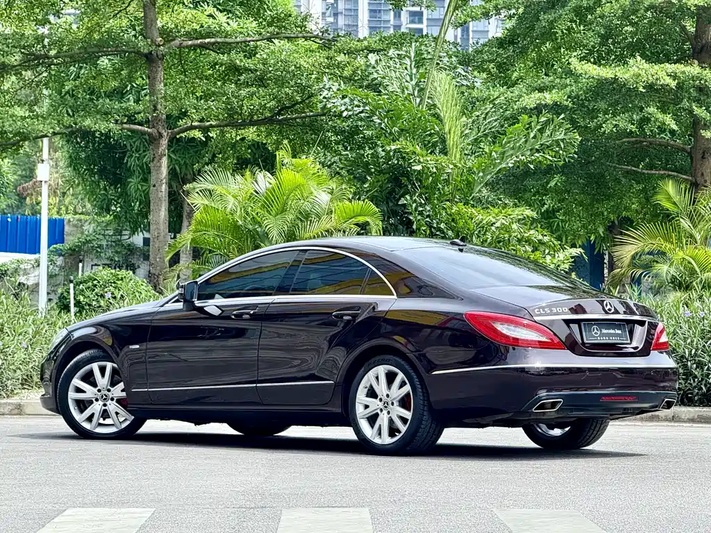 Mercedes-Benz CLS 2012 CLS 300 CGI