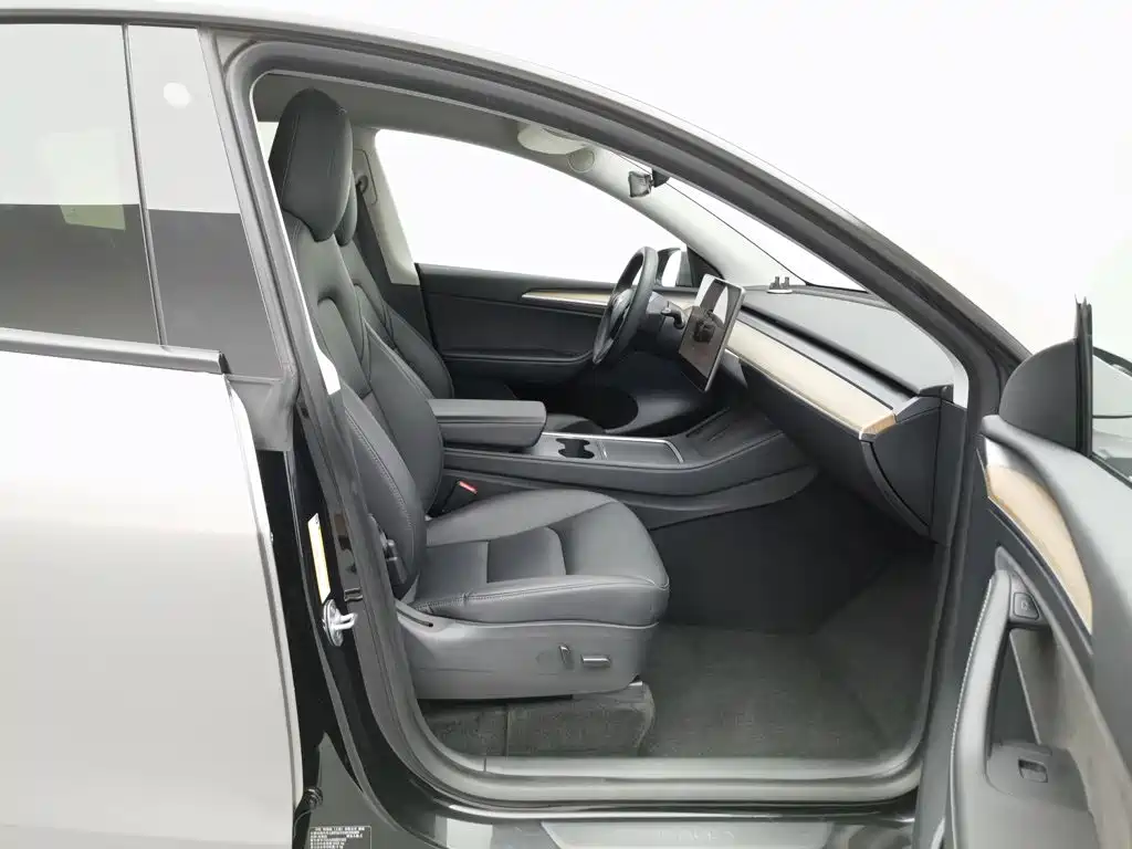 Tesla Model Y — миниатюра 23