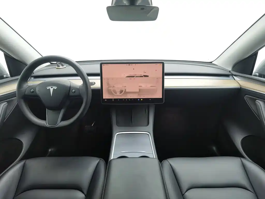 Tesla Model Y — миниатюра 5