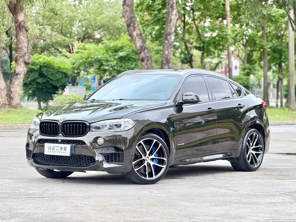 BMW X6 2015