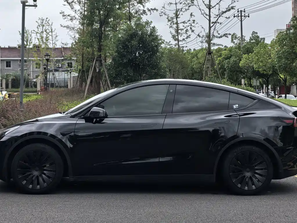 Tesla Model Y — миниатюра 5