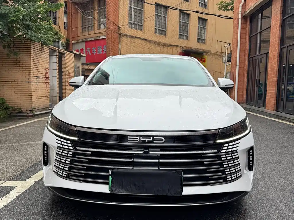 BYD Destroyer 05 — миниатюра 3