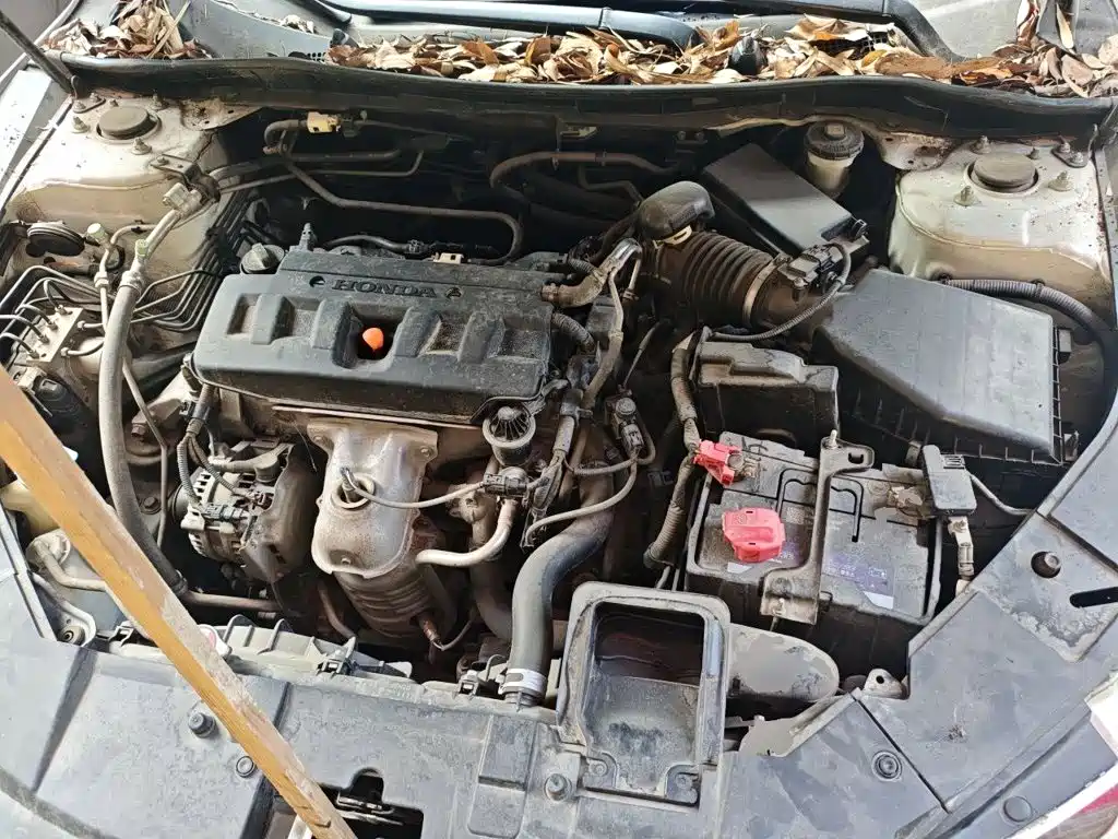 Honda Accord — миниатюра 11