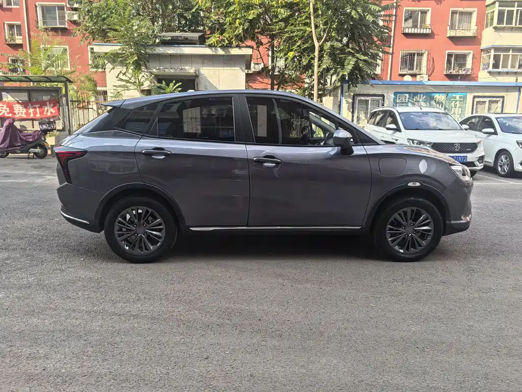 Neta Neta V — миниатюра 4