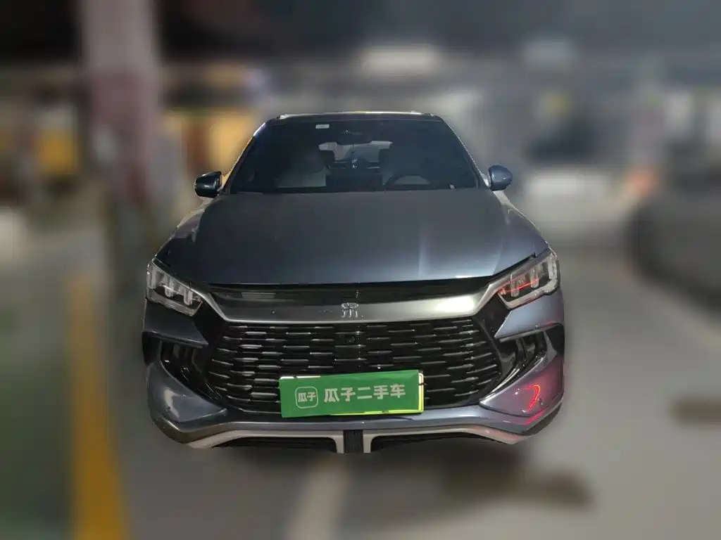 BYD Pro New Energy — миниатюра 2