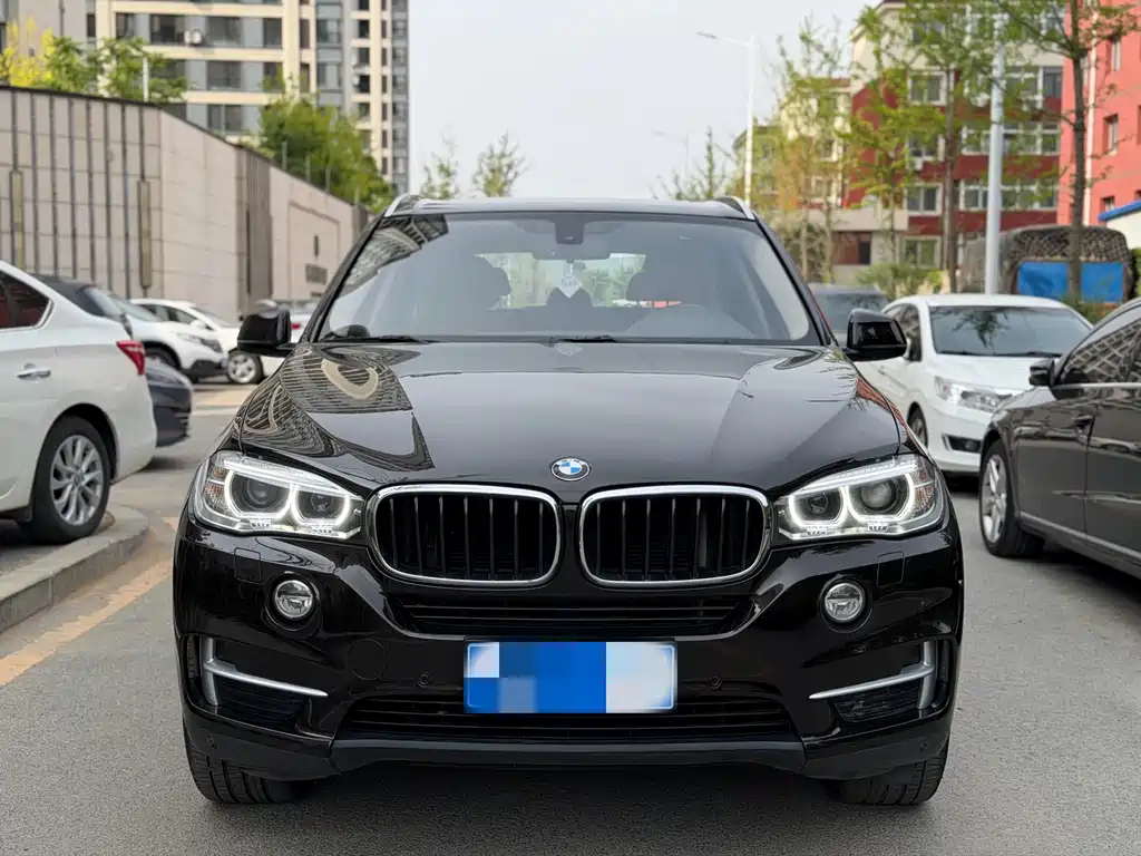 BMW X5 2014 xDrive35i Lead