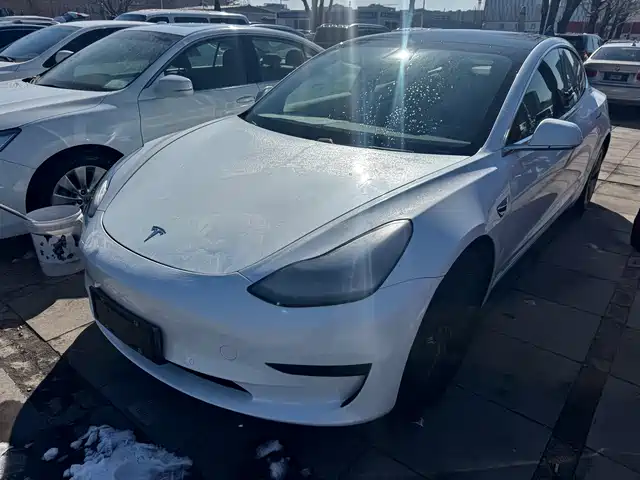 TESLA MODEL 3 2020