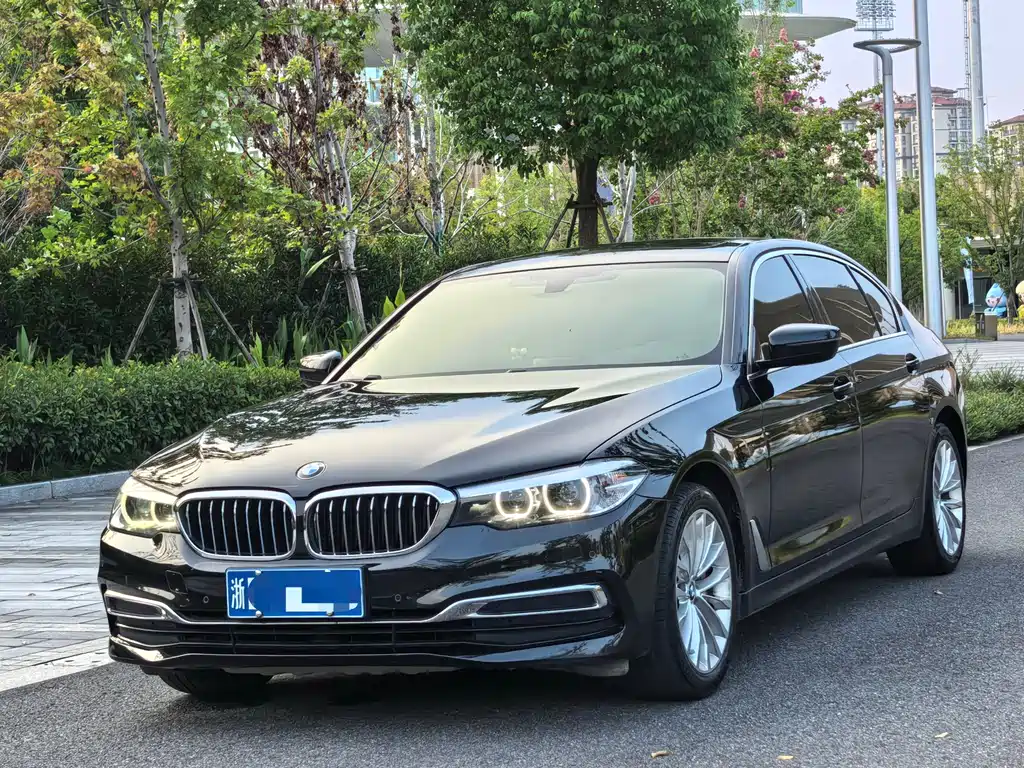 BMW 5 Series 2019