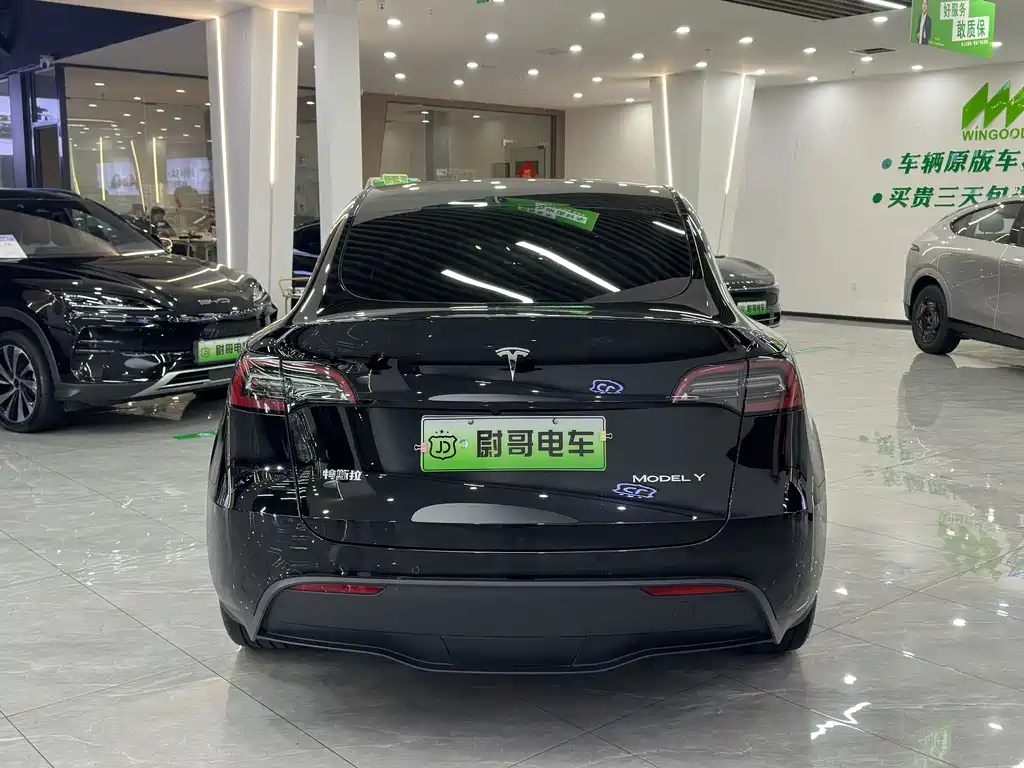 TESLA MODEL Y