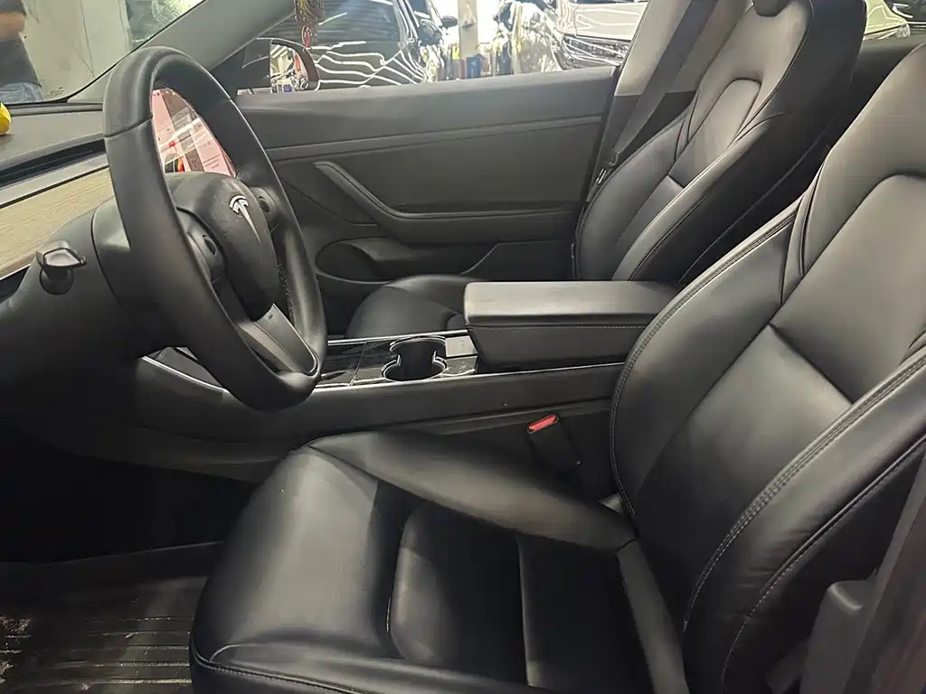 Tesla Model 3 — миниатюра 4