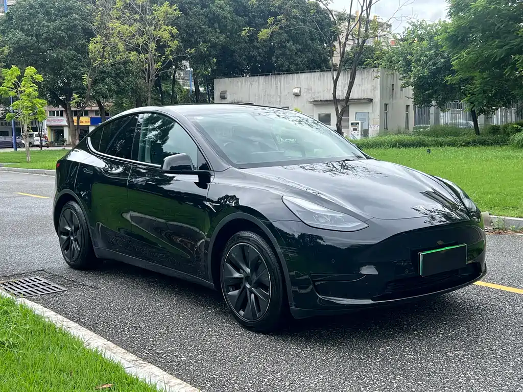 Tesla Model Y — миниатюра 3