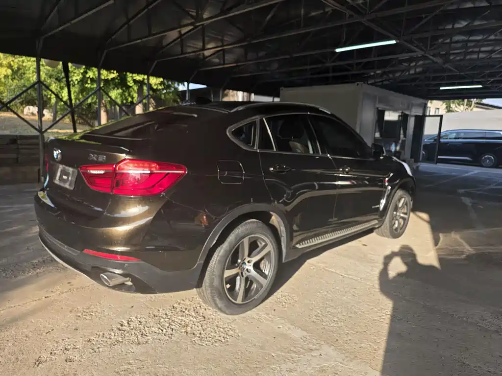 BMW X6 — миниатюра 4