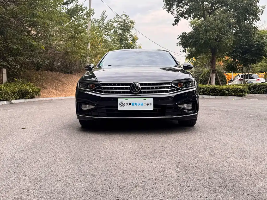 Volkswagen Magotan — миниатюра 2