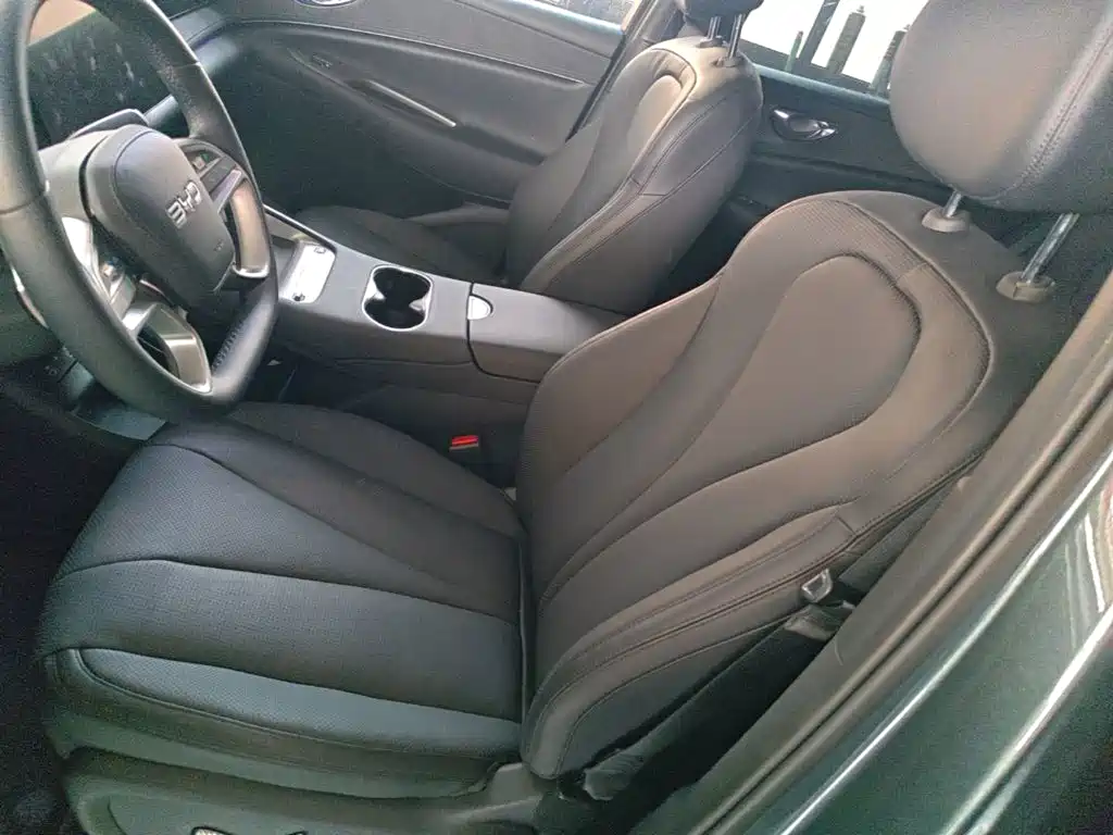 BYD Sealion 06 — миниатюра 15