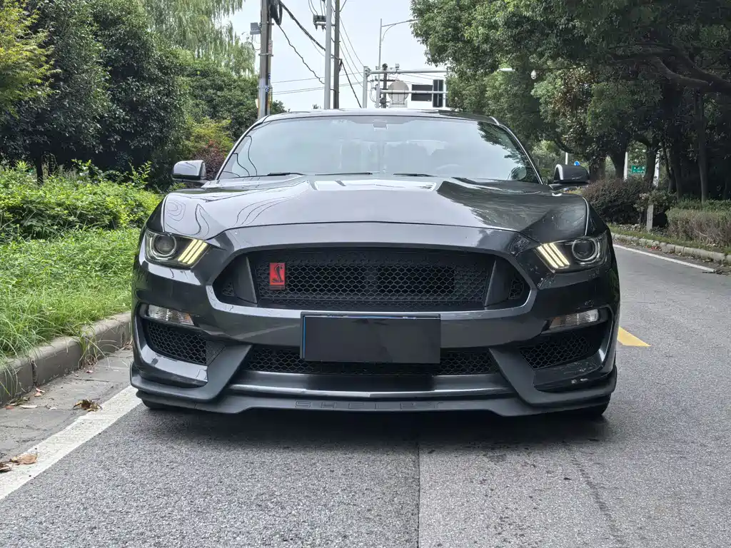 Ford Mustang — миниатюра 2