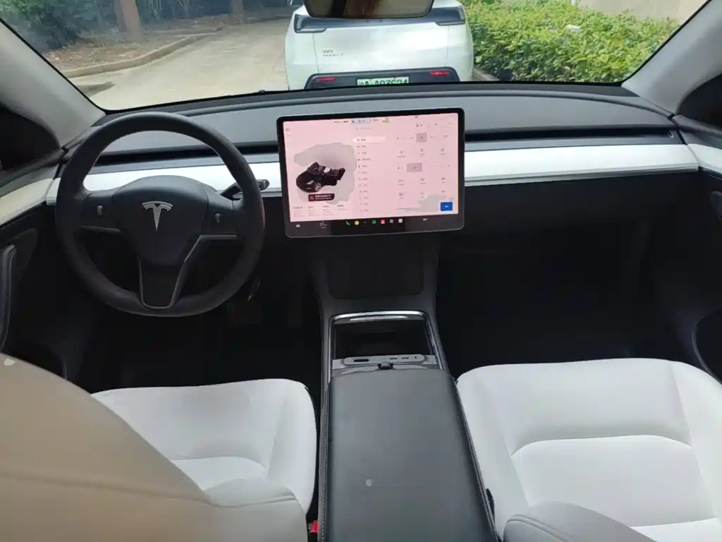 Tesla Model Y — миниатюра 10