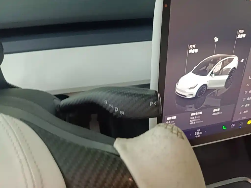 Tesla Model Y — миниатюра 14