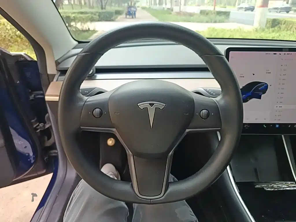 Tesla Model 3 — миниатюра 11