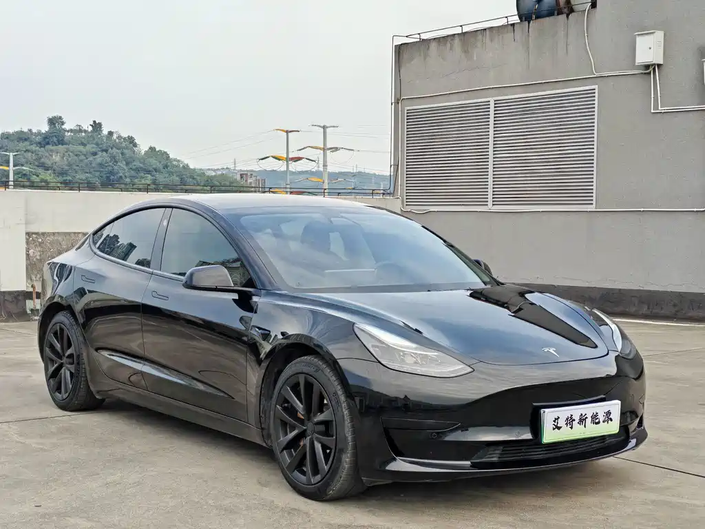 Tesla Model 3 — миниатюра 2