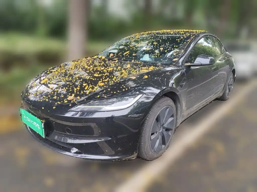 Tesla Model 3 — миниатюра 2