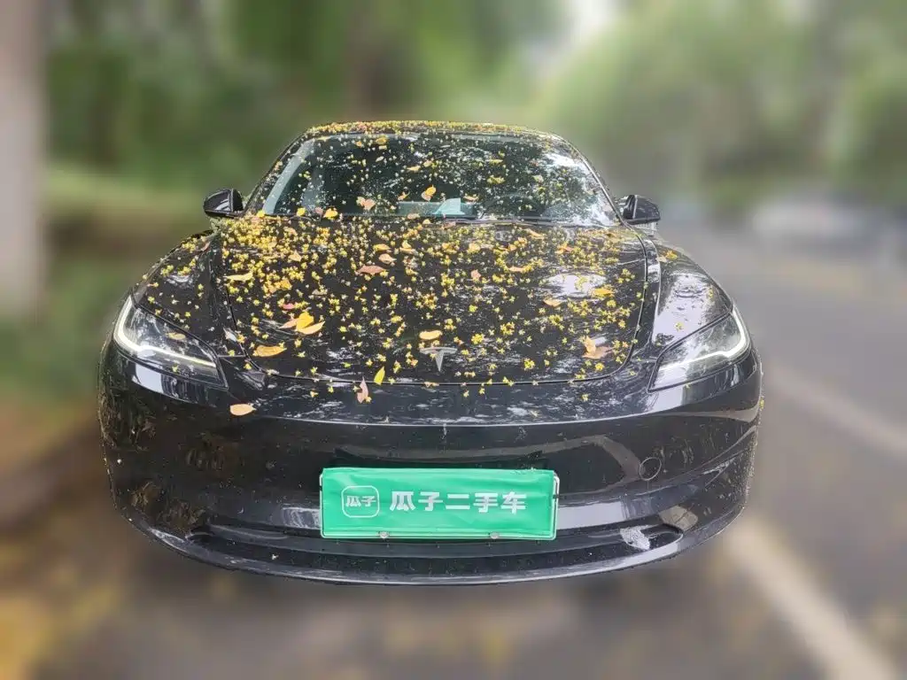 Tesla Model 3 — миниатюра 3