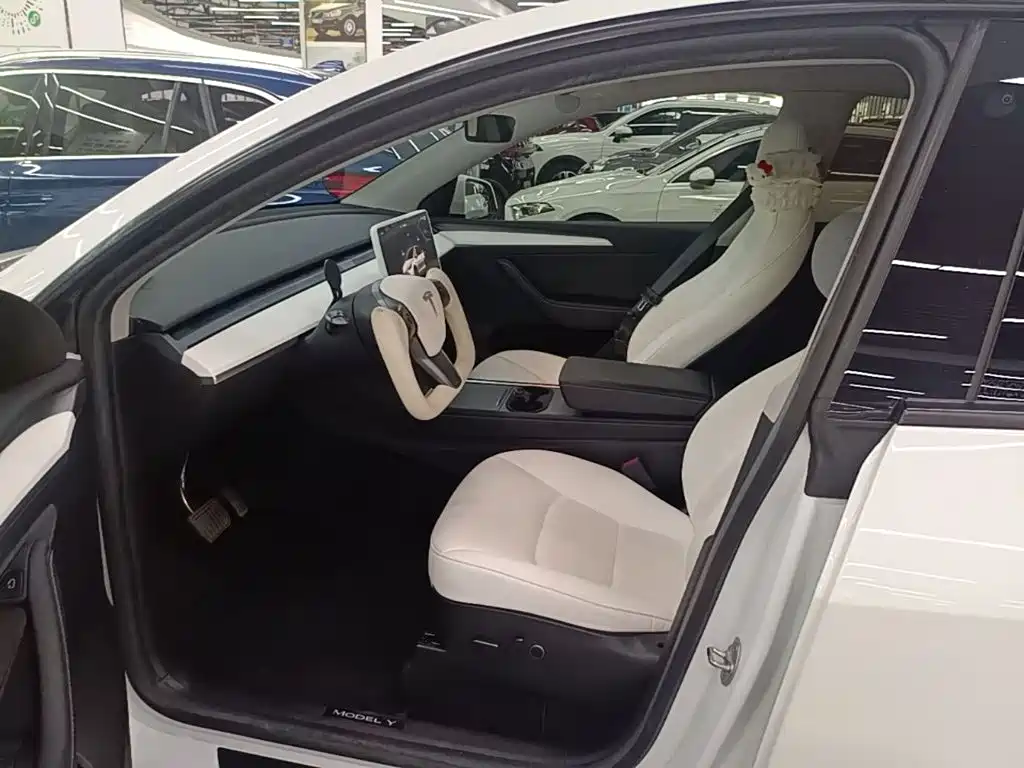 Tesla Model Y — миниатюра 15