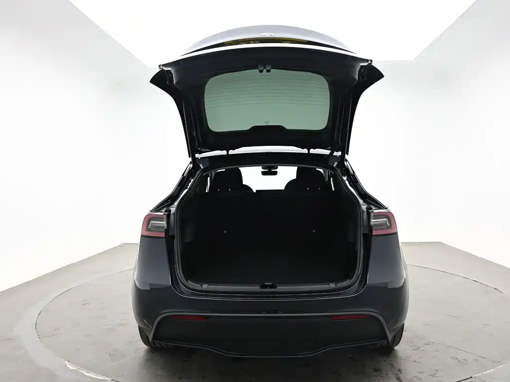 Tesla Model Y — миниатюра 8