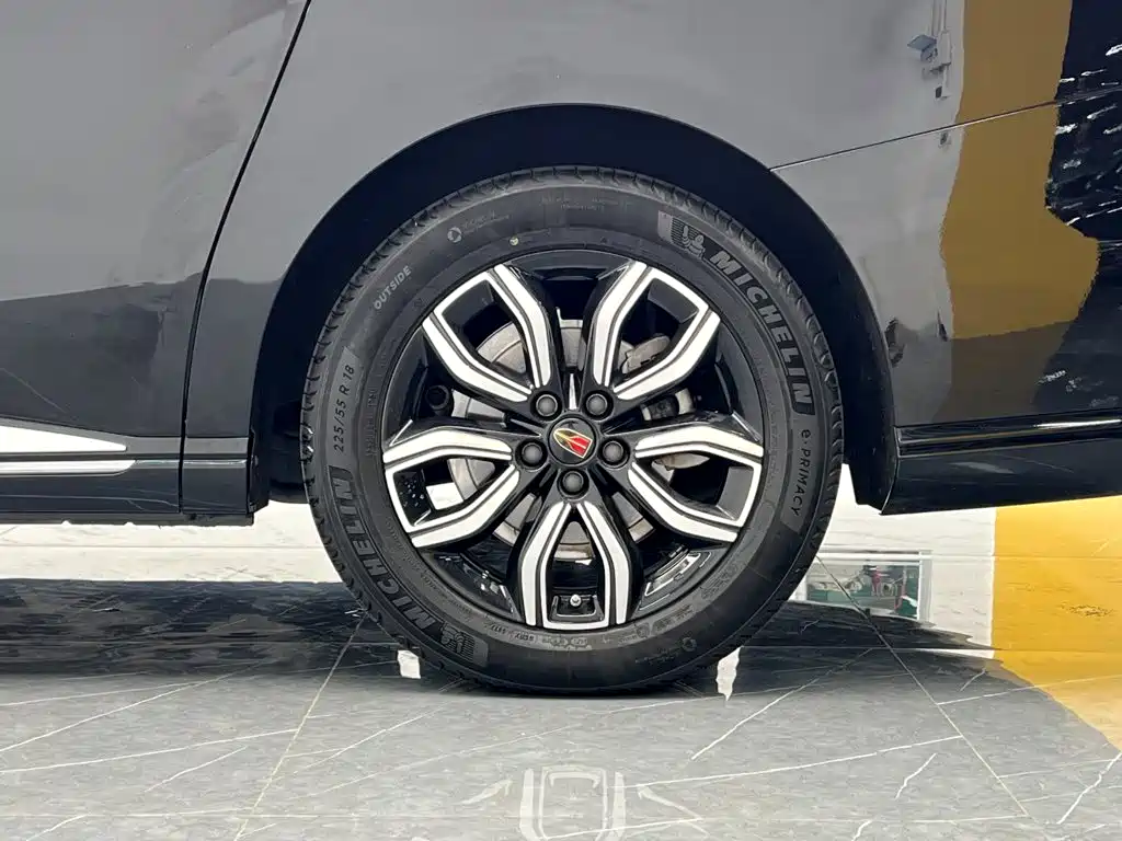 Hongqi Hongqi HQ9 — миниатюра 26