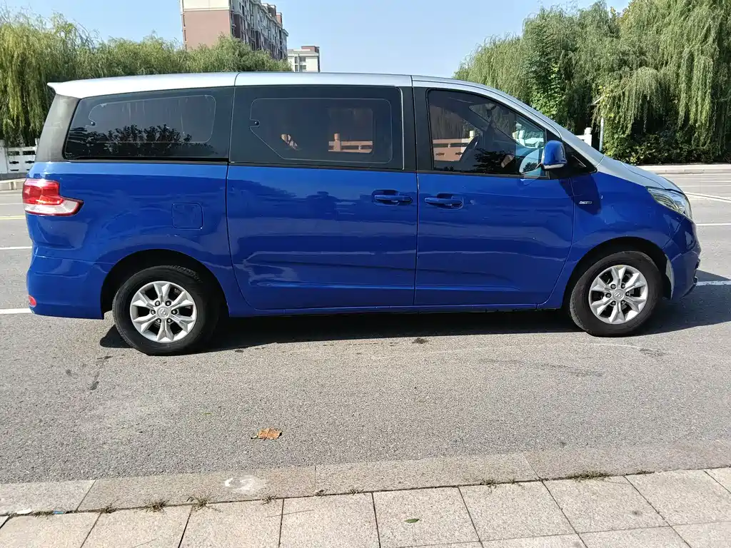 Maxus G10 2014 2.0T AT Luxury Executive