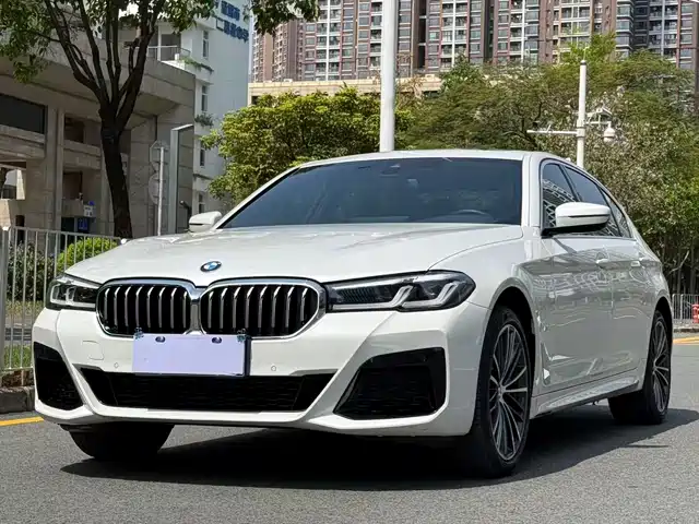 BMW 5 SERIES