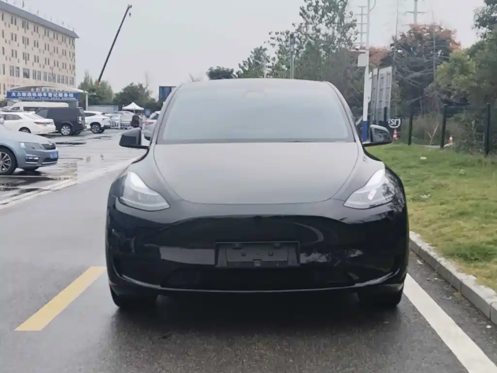 Tesla Model Y — миниатюра 2