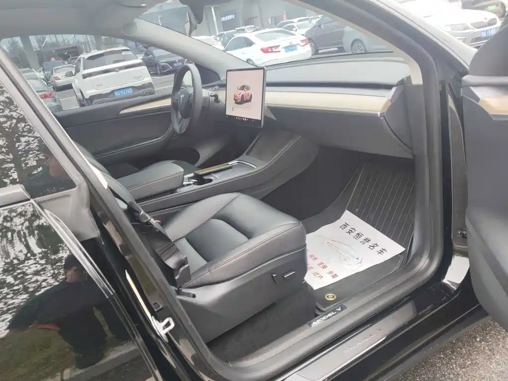 Tesla Model Y — миниатюра 8