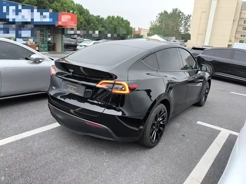 Tesla Model Y — миниатюра 7