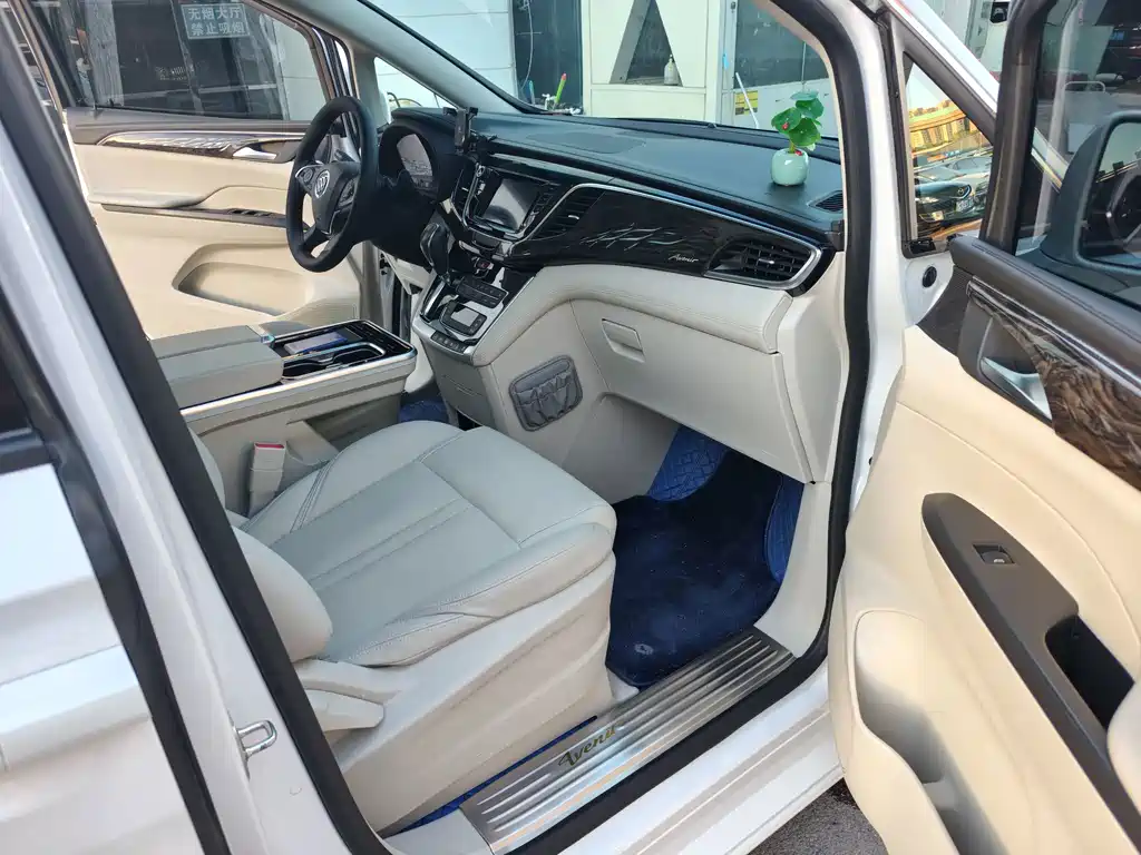 Buick GL8 — миниатюра 11