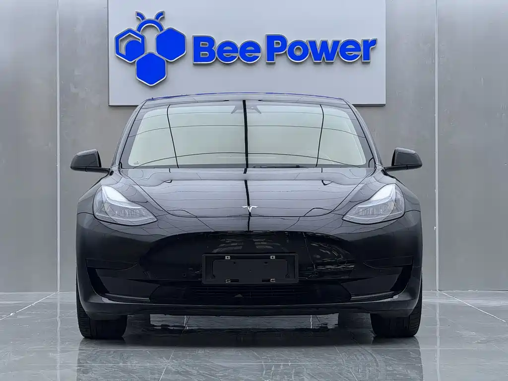 Tesla Model 3 — миниатюра 2