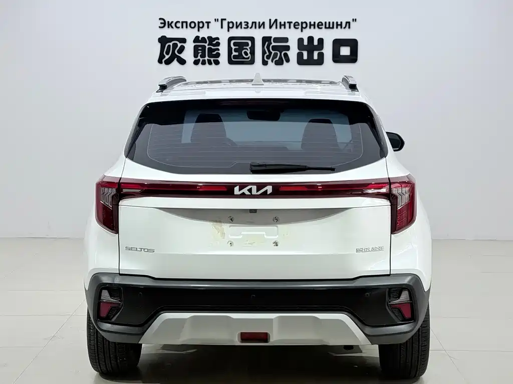 Kia Seltos — миниатюра 5