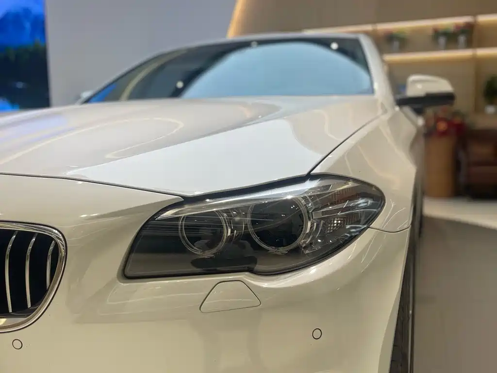 BMW 5 Series (Import) 520i Elegant Type, фото 23