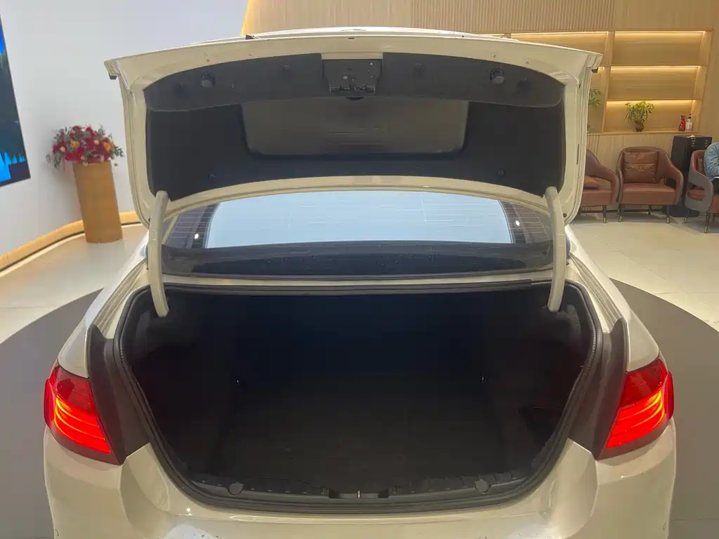 BMW 5 Series (Import) 520i Elegant Type, фото 25