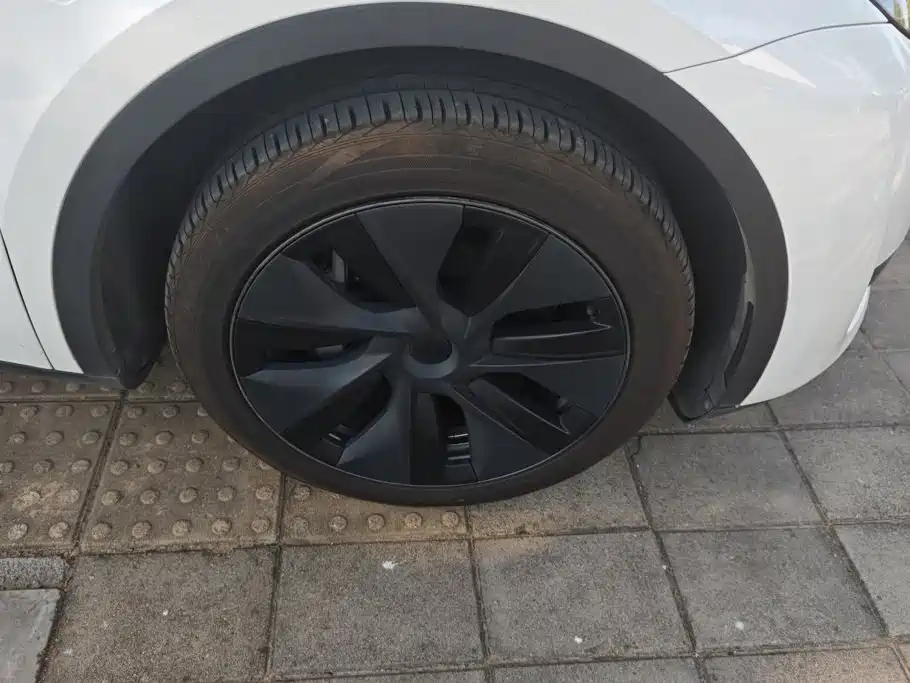 Tesla Model Y — миниатюра 6