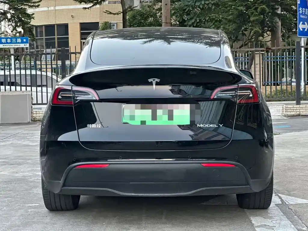 Tesla Model Y — миниатюра 6