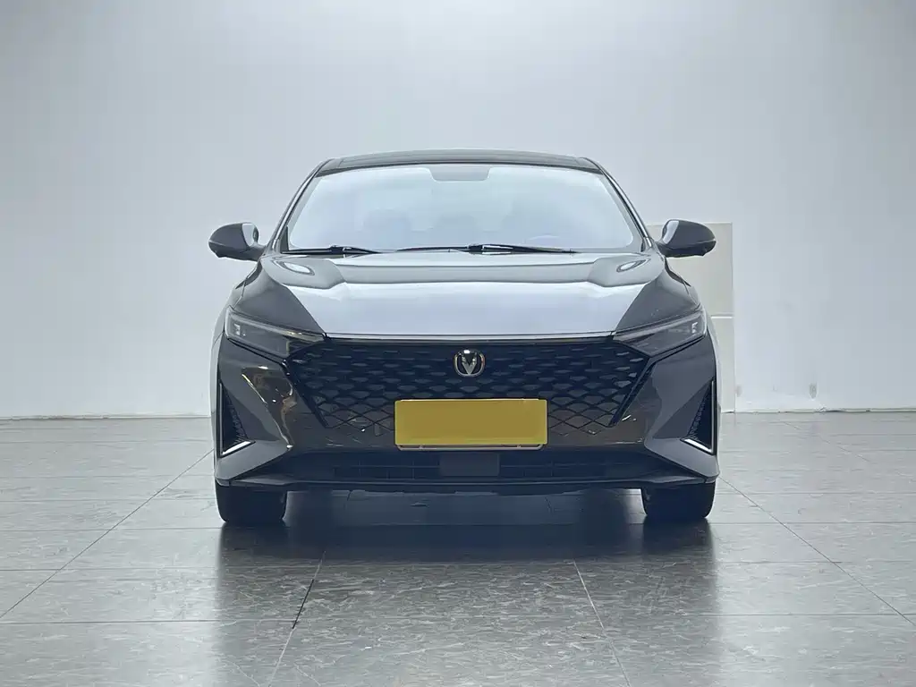 Changan Ruicheng PLUS — миниатюра 2