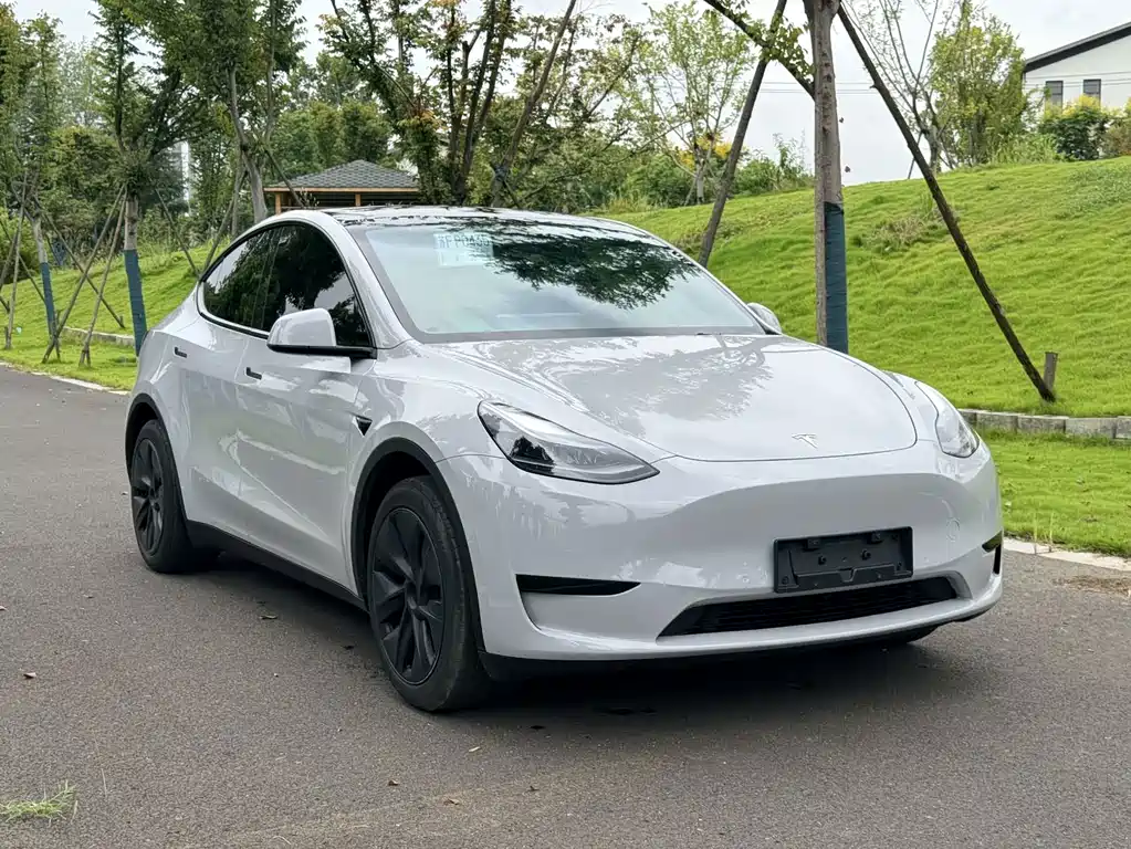 Tesla Model Y — миниатюра 2
